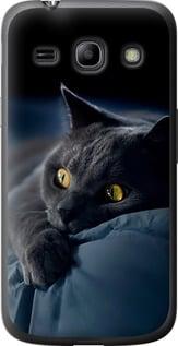 Чохол на Samsung Galaxy Star Advance G350E Димчастий кіт "825u-210-5939", фото 1