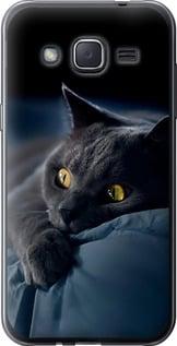 Чохол на Samsung Galaxy J2 J200H Димчастий кіт "825u-190-5939", фото 1