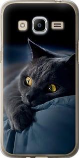 Чохол на Samsung Galaxy J2 (2016) J210 Димчастий кіт "825u-270-5939", фото 1