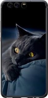 Чохол на Huawei P10 Димчастий кіт "825t-780-5939"