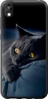 Чохол на Huawei Honor 8S Димчастий кіт "825t-1679-5939"