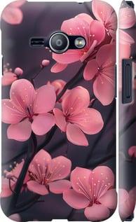 Чохол на Samsung Galaxy J1 Ace J110H Пурпурова сакура "6075m-215-5939", фото 1