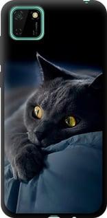 Чохол на Huawei Y5p Димчастий кіт "825b-1936-5939"