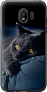 Чохол на Samsung Galaxy J2 2018 Димчастий кіт "825u-1351-5939", фото 1