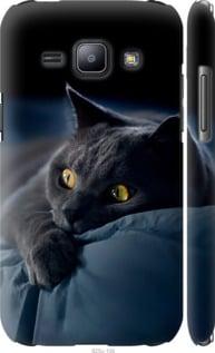 Чохол на Samsung Galaxy J1 J100H Димчастий кіт "825m-104-5939", фото 1