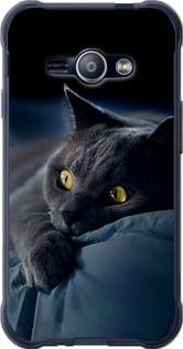 Чохол на Samsung Galaxy J1 Ace J110H Димчастий кіт "825t-215-5939", фото 1