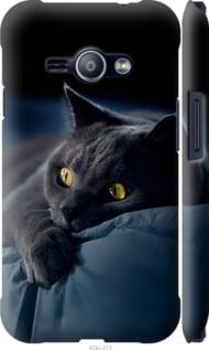 Чохол на Samsung Galaxy J1 Ace J110H Димчастий кіт "825m-215-5939", фото 1