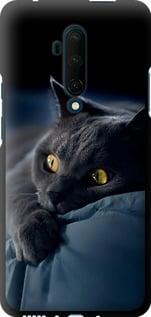 Чохол на OnePlus 7T Pro Димчастий кіт "825b-1810-5939"