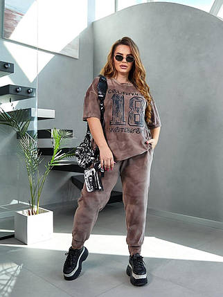 Елегантний жіночий костюм, тканина "Велюр" 56, 58, 60, 62, 64, 66, 68, 70, 72, 74 розмір 56, фото 1