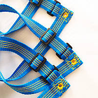 Розмітка майданчика для пляжного волейболу «ТРАНСФОРМЕР ТРАНЗИТ» регульований розмір