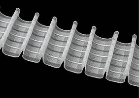 Тасьма прозора 4436 MP 6,5 см 1/2