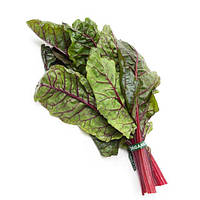 Насіння Мангольду