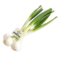 Насіння Цибулі Зеленої