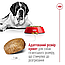 Сухий корм для собак гігантських порід Royal Canin (Роял Канін) Giant Adult 15 кг, фото 3