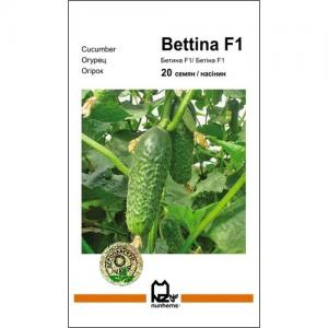 Огірок Бетіна 10 нас. Агропакгруп, фото 1