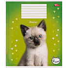 Зошит шкільний Мрії Збуваються 12арк в клітинку арт. 3289, фото 3