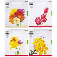 От 16 шт. Зошит кольоровий 24 аркуша, лінія 3454 D купить оптом