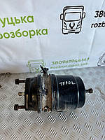 Енергоакумулятор (задній міст) б/в DAF XF 105 (1686001, 1686002) оригінал, 250х250х400 мм