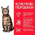 Сухий корм для дорослих котів Hill's Science Plan Adult, з ягням, 1,5 кг, фото 6