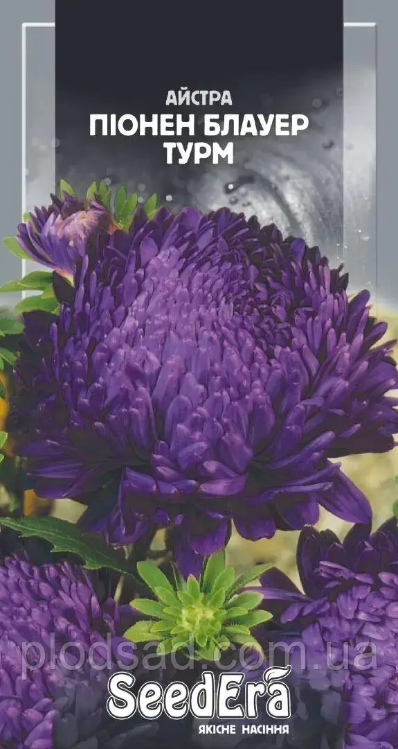 Насіння астра високоросло Півонія Бловер Турм 0,25 г, Seedera