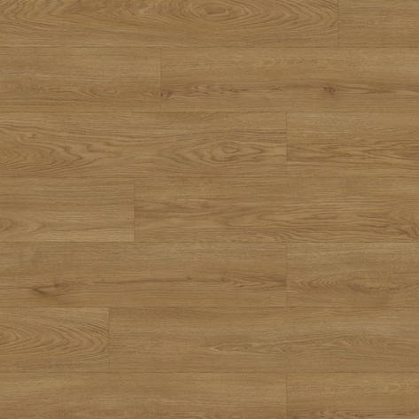 Ламінат Krono Original, колекція SUPER NATURAL CLASSIC, колір Дуб Вііч Конфорс, 8 мм, фото 1