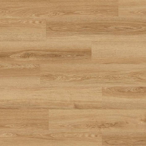 Ламінат Krono Original, колекція SUPER NATURAL CLASSIC, колір Дуб Кеш’ю Монтре, 8 мм, фото 1