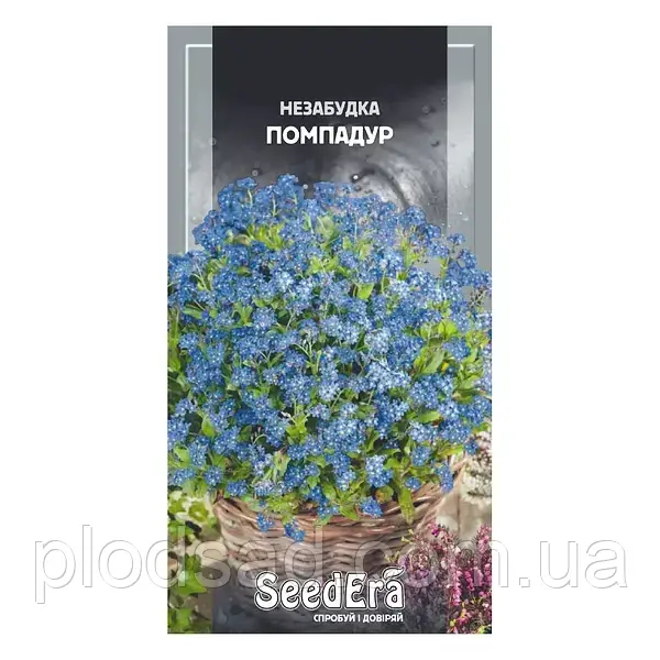 Незабудка Садова помпадур насіння (0.1 гр)