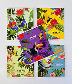 Зошит 36 аркушів У клітинку Tropic 3044(36к) Школярик