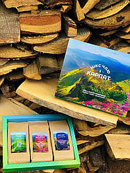 Мікс чаю з Карпат карпатський чай у фільтр пакетиках