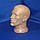 Манекен чоловіча голова тілесного кольору, фото 5