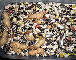Versele-Laga Prestige ВЕЛИКИЙ ПАПУГАЙ – традиційний повсякденний зерновий корм для великих видів папуг.1.5кг, фото 3