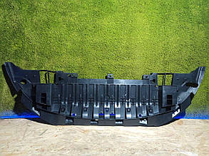 Захист переднього бампера Renault Grand Scenic 3 Рено Гранд Сценік 3 захист бампера 2012-2016