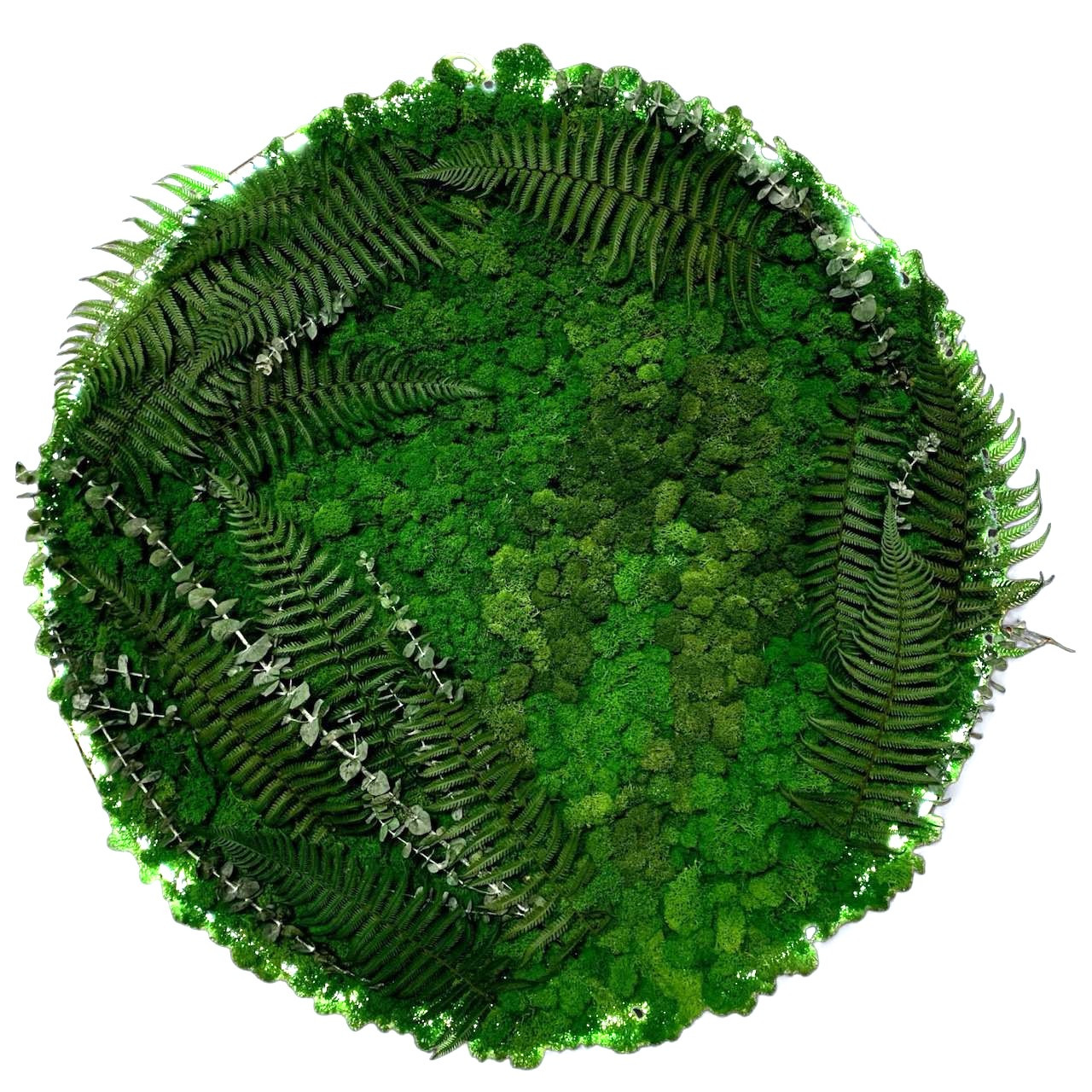 Кругла картина з  норвезького моху, папороттю з підсвіткою