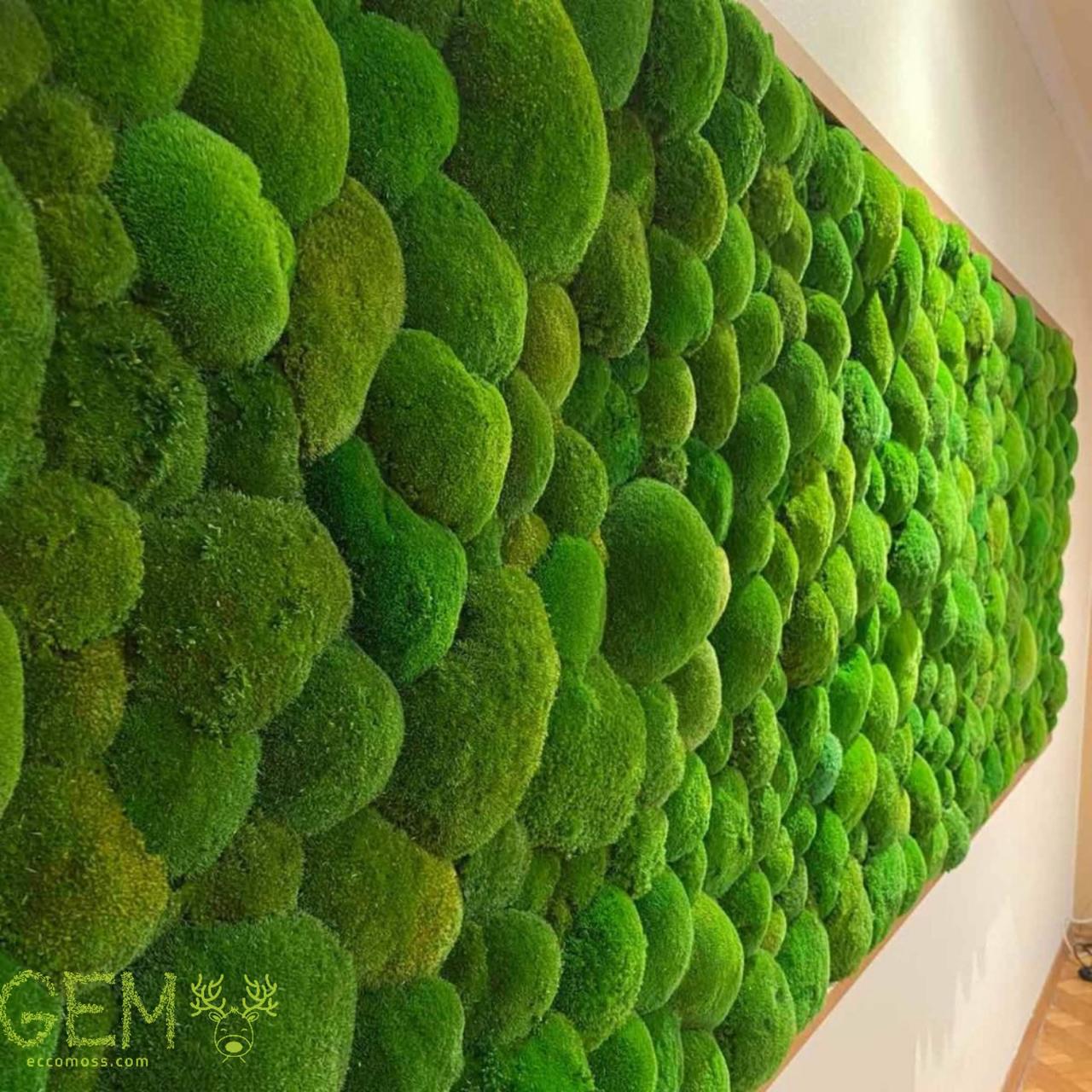 Картина з кочкового моху