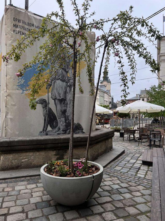 Вазон бетонний - Діона В400мм х Д800мм сірий, фото 1