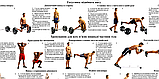 Плакат Вправи для м'язів нижньої частини тіла 67*86 см Навчальні плакати для тренажерних залів, фото 2