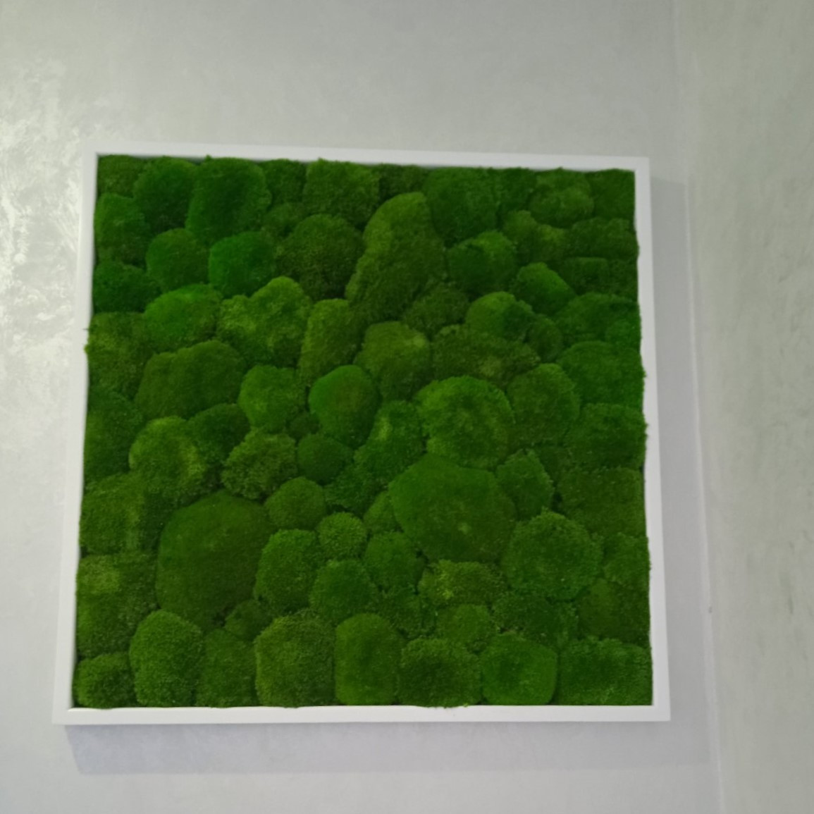 Картина з моху стабілізованого