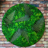 Кругле панно із мохом та папороттю в металевій рамці