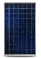 Сонячна батарея Perlight 250 Вт / 24 В (полікристалічна) PLM-250P-60