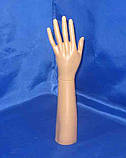 Манекен рука права ліва коротка тілесного кольору, фото 3