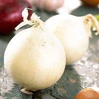 Цибуля сіянка Сноу Бол 100 г