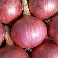 Цибуля сіянка Птуйська 100 г