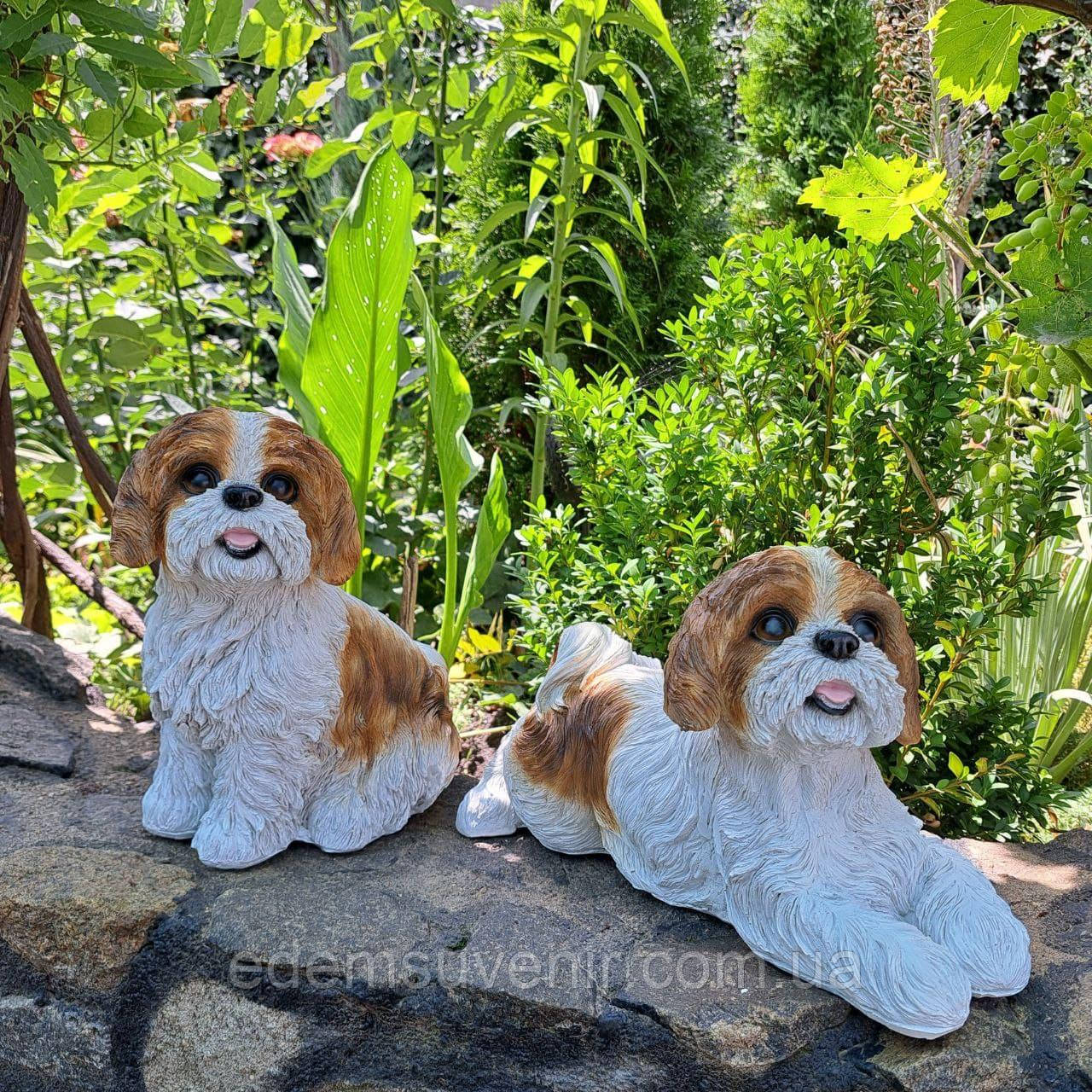 Садова фігура Ши-цу сидить, біло-коричнева та Ши-цу що лежить біло-коричневий