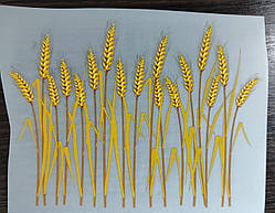 Термоналіпка на одяг  "Колоски" жовті"