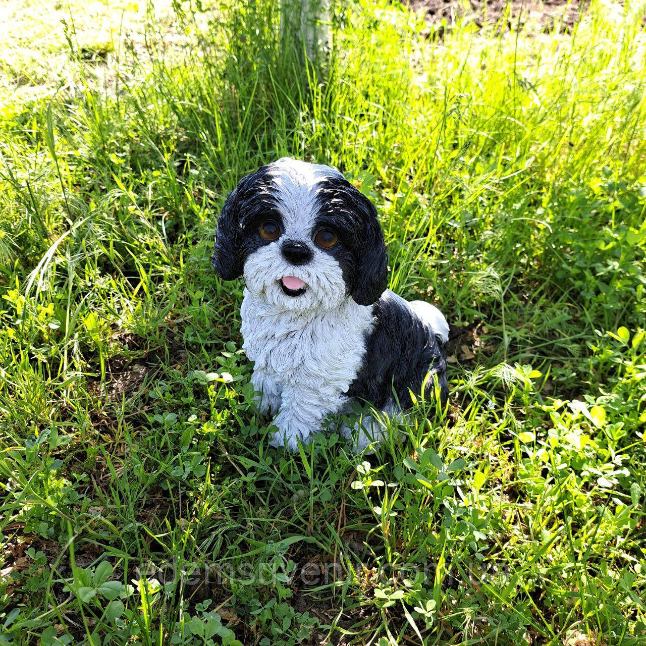 Садова фігура собака Шица, що сидить Чорно-білий