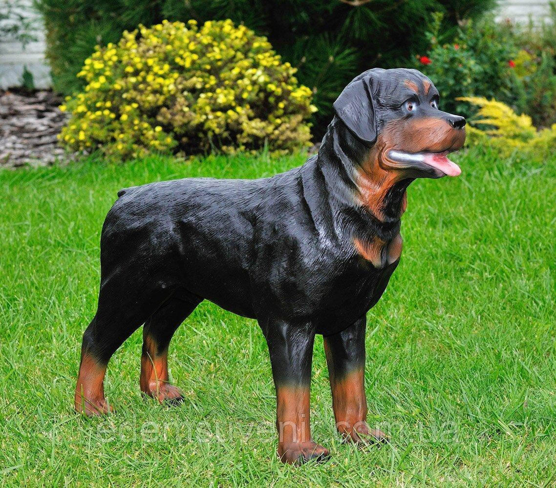 Фігура садова Ротвейлер стоячий