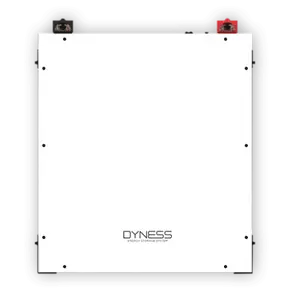 Акумуляторна літієва батарея Dyness DL5.0C, 48V - 5.12 кВт LiFePO4 100A/год, фото 4
