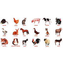 Набір карток (міні): Домашні тваринки, 18 карток (укр) [tsi242580-TSI], фото 2