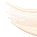 Рідкий хайлайтер Purlisse Halo Glow BB Cream Highlighter Light Gold 5 мл, фото 3