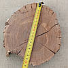 Дерев'яний зріз сухого дуба без кори, 200х180мм., фото 6